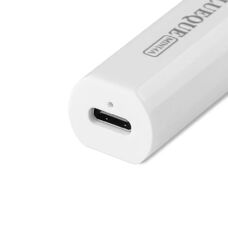 Blueque Mini 4A UV Flashlight