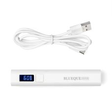 Blueque Mini 4B UV Flashlight