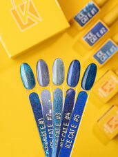 Set of magnetic gel polishes Kupiuviti Ice Cat Eye, 5 pcs.