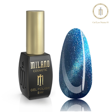 Гель-лак CAT EYES PRIZMA Milano №008, 8 мл
